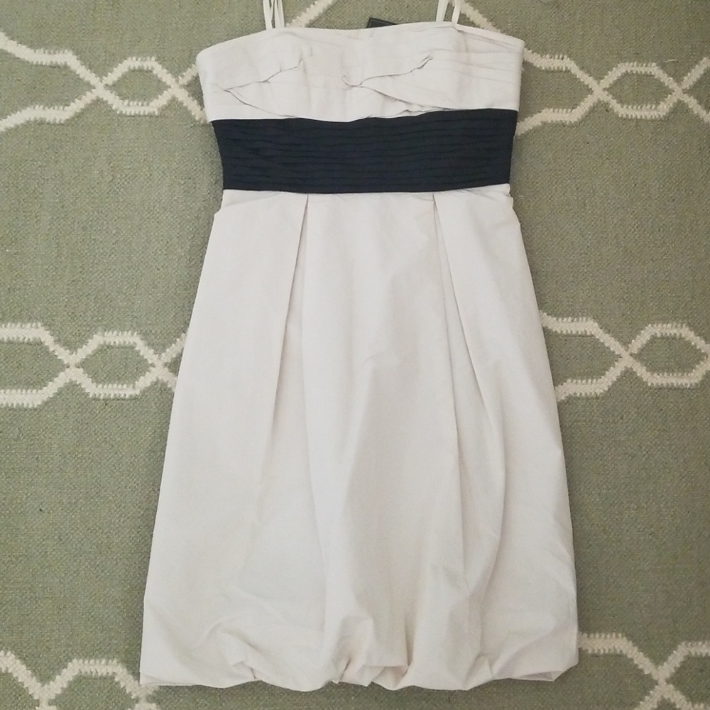 BCBG Nuetral Dress